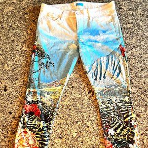 Size 28 "The Looker -- A day in paradise" Mother Denim